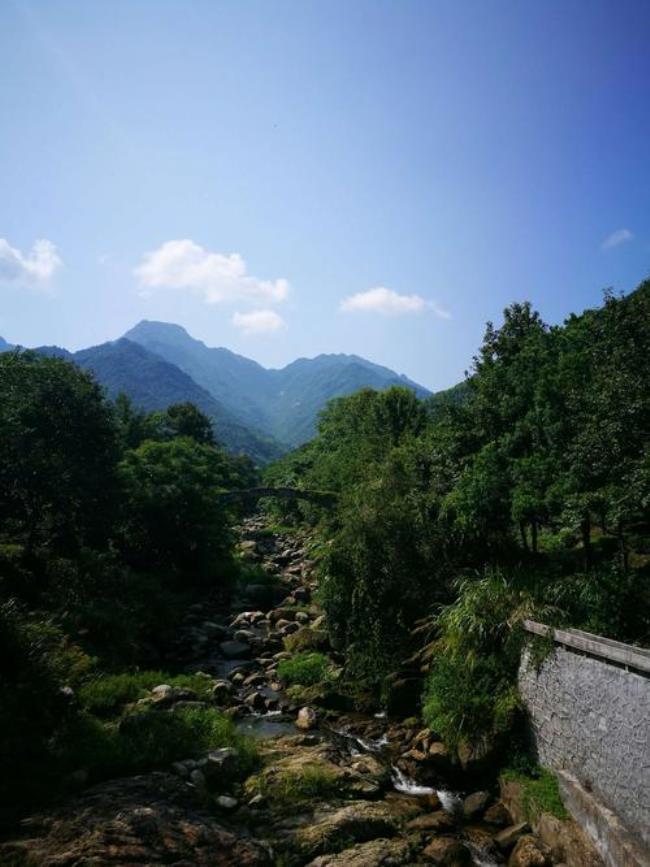 再见了大别山指哪里