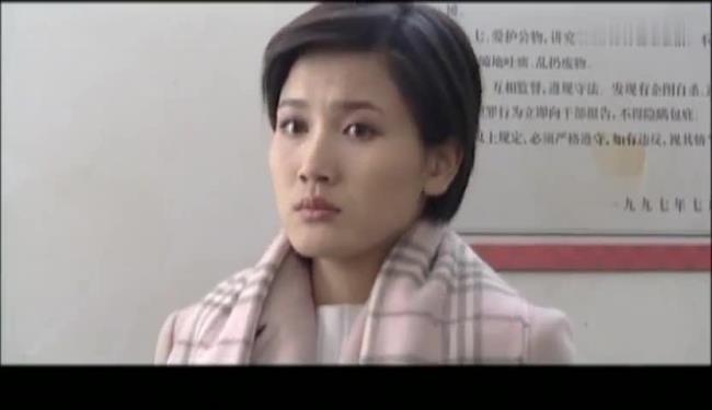 龙年档案罗小倩扮演者