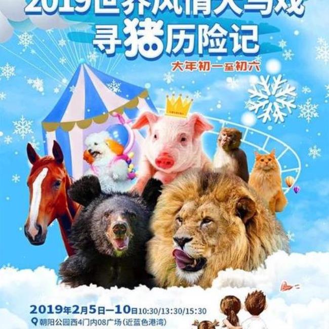 萌宠历险记中怎样才能到达雪地