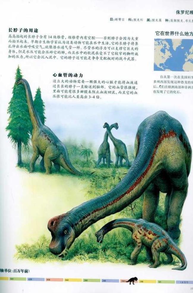 恐龙属于龙吗