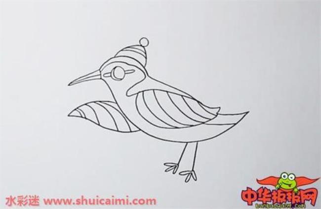 儿童简笔画小鸟怎么画