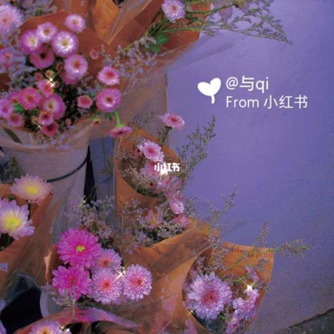 怎么也飞不出花花的世界完整版