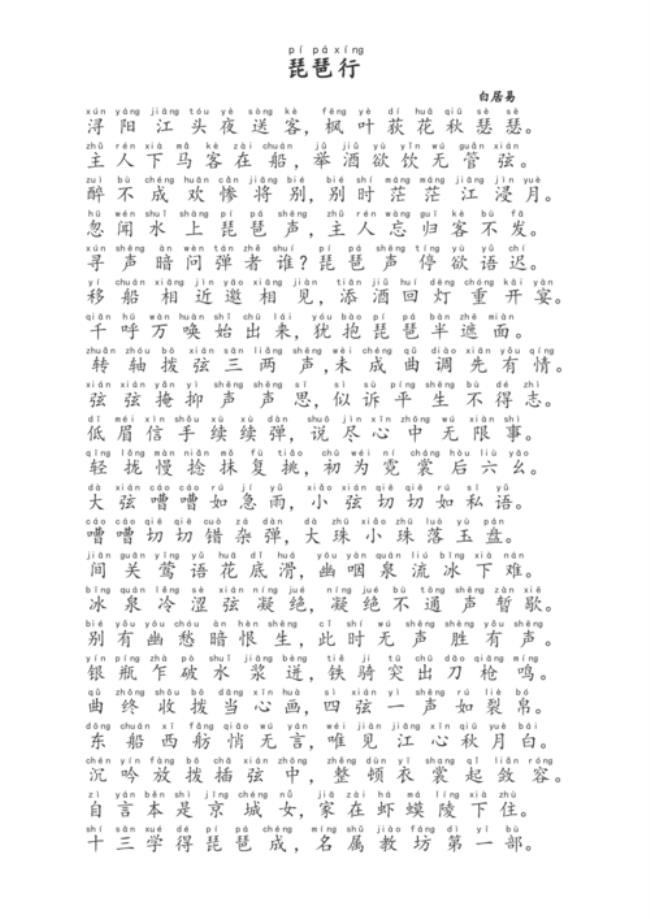 琵琶行的行什么意思
