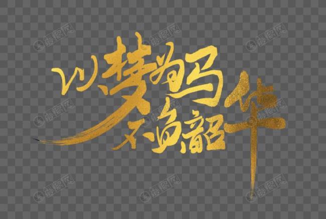 不负年华不负卿的意思