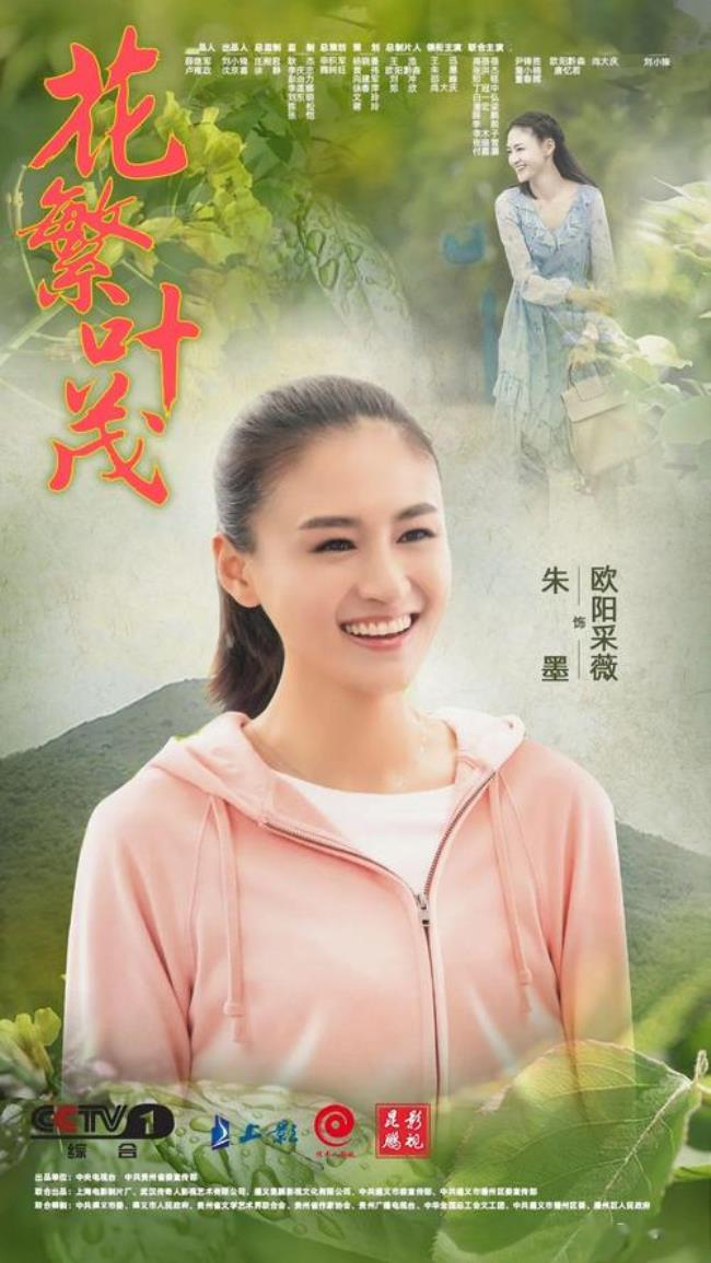 哪些电视可在央视播