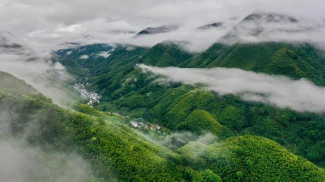 武夷山是人工降雨吗