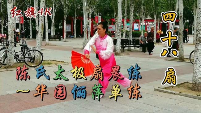 48式太极扇分几段