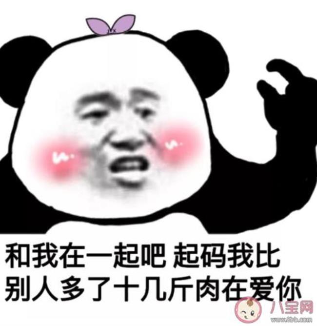 六个月宝宝文案搞笑