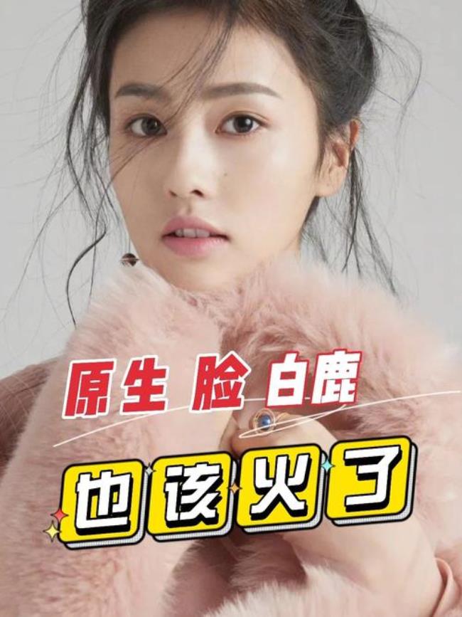 白鹿什么时候开始火的