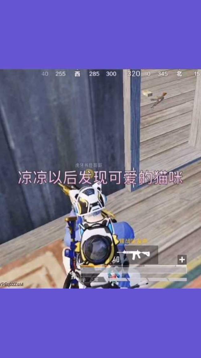 和平精英怎么样变猫