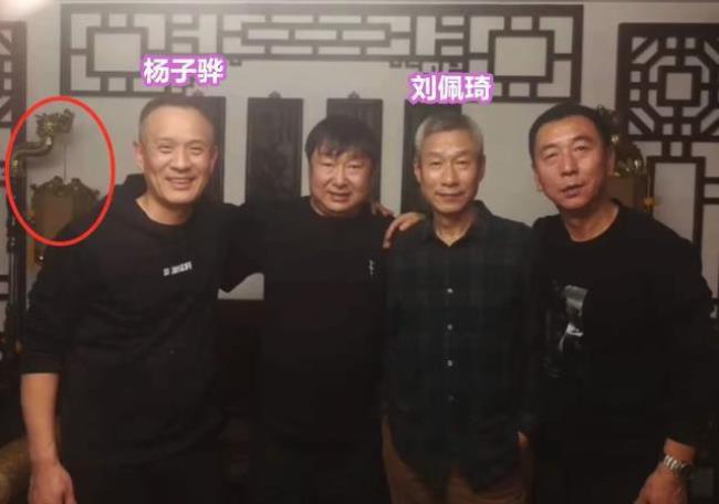 刘佩琦有多少个子女