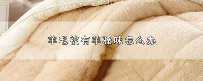 羊有骚怎么办