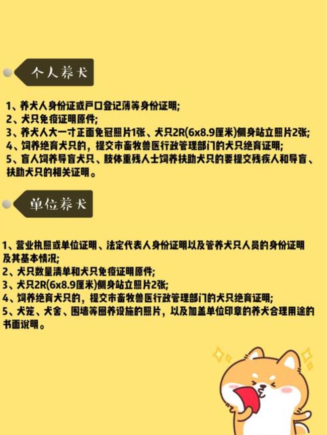 青岛狗牌怎么办理