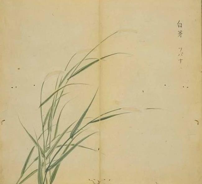 诗经子衿背后的故事
