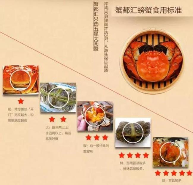 蟹都汇和蟹之家的螃蟹哪个好