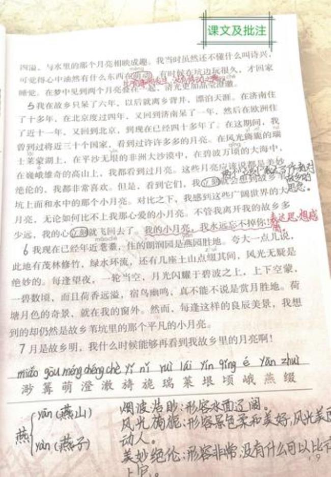 24少年闰土批注