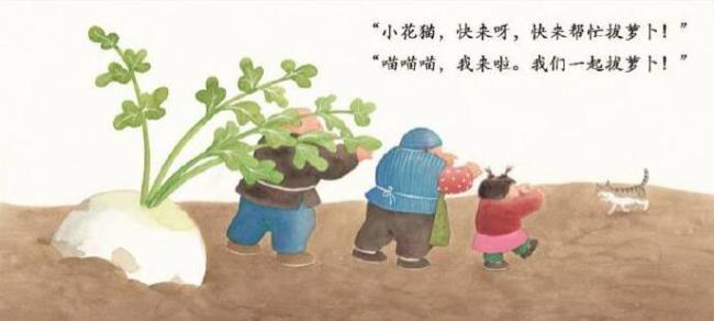 萝卜来了的小故事