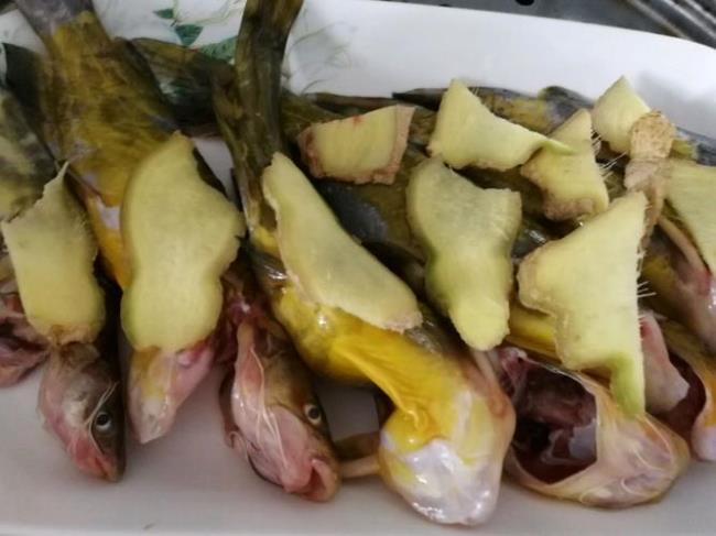黄沙古鱼做法