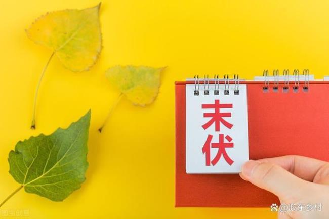中午特征