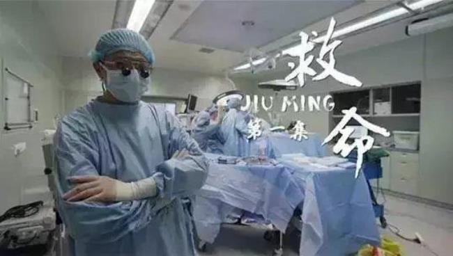 人间世导演是王野吗