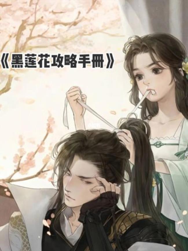 黑莲花攻略手册讲什么