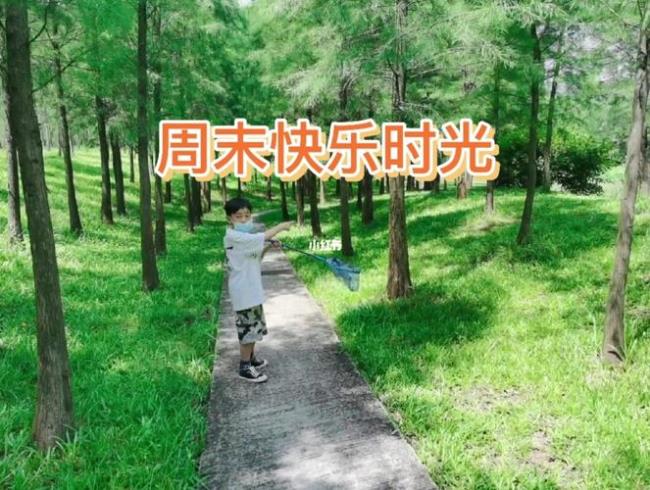 周末陪孩子的快乐时光