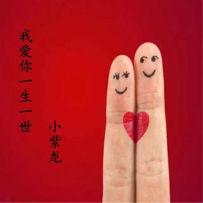爱你一生的意思