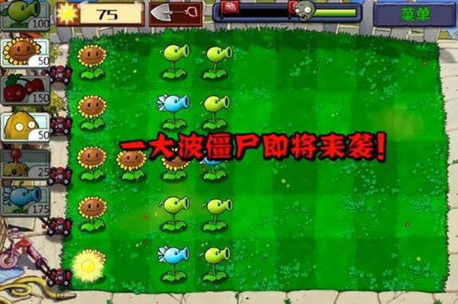 僵尸型的意思
