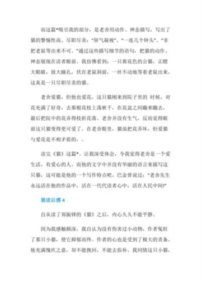 黑猫尼诺的梗概500