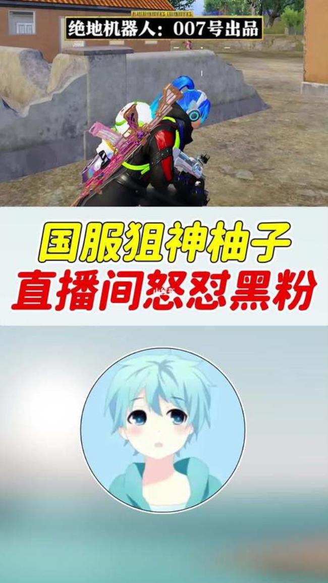 和平精英柚子资料