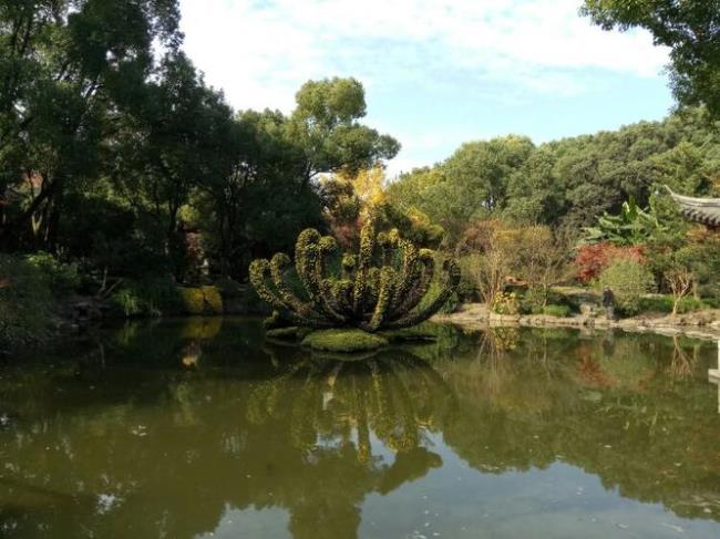 上海什么龙潭