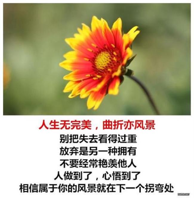 不要攀比的寓言故事