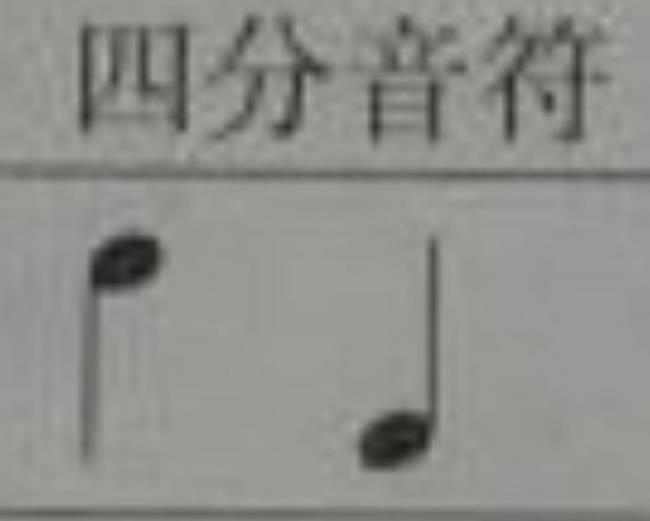 什么是四四拍