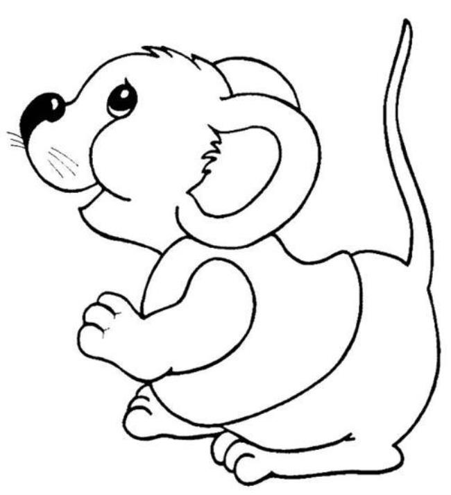 少儿简笔画动物