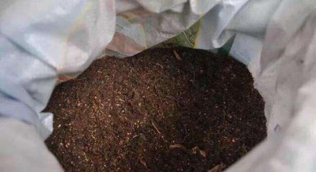 水泥长虫怎么灭