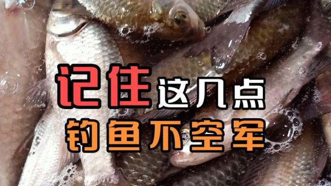 几点最不好钓鱼