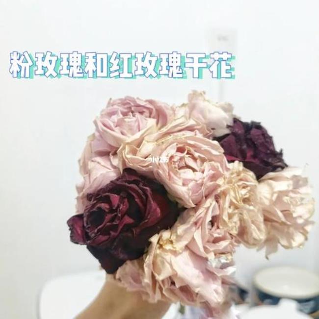 为什么玫瑰花制干花坏了