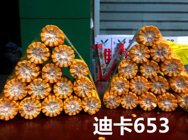 迪卡653与登海605哪个表现好