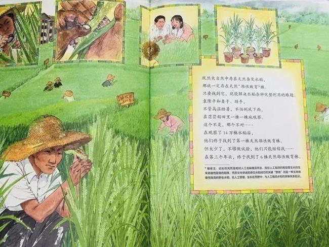 小练笔一粒种子改变世界