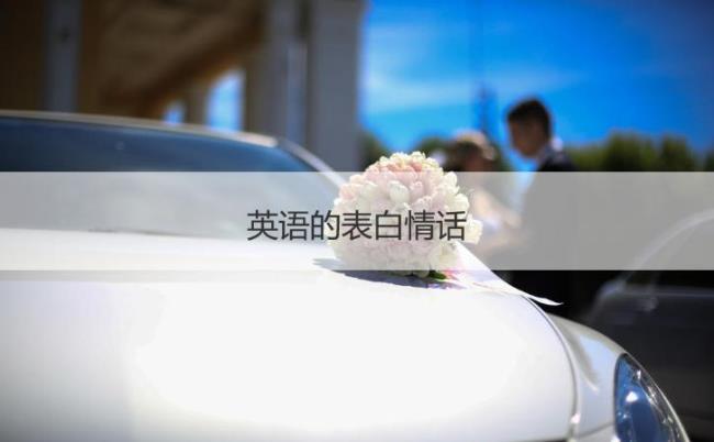 3155爱情代表什么意思