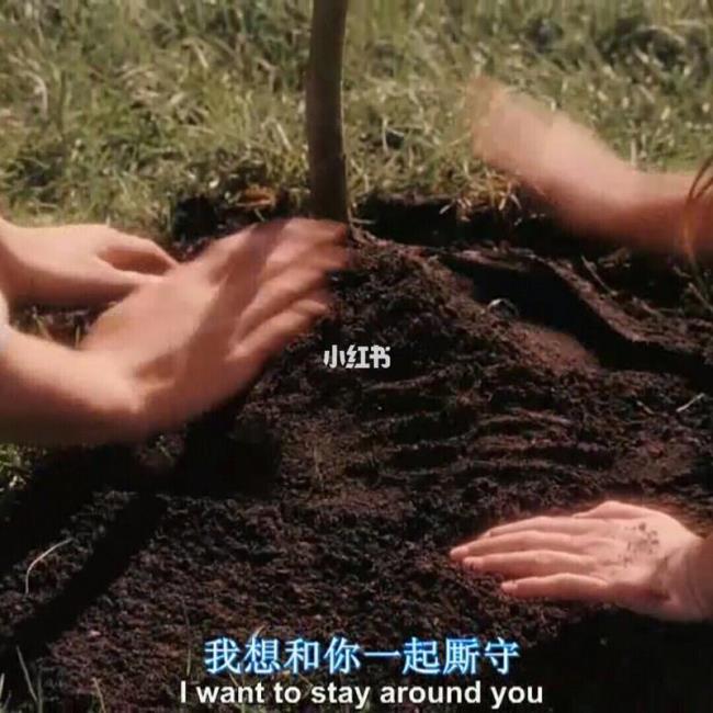 一生没有遇到心动的人会怎么样