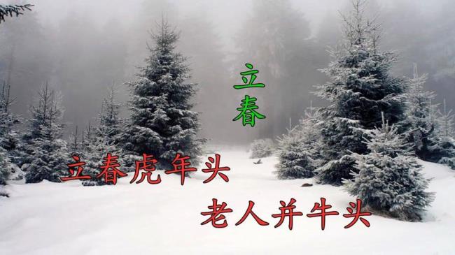 双虎共头的寓意