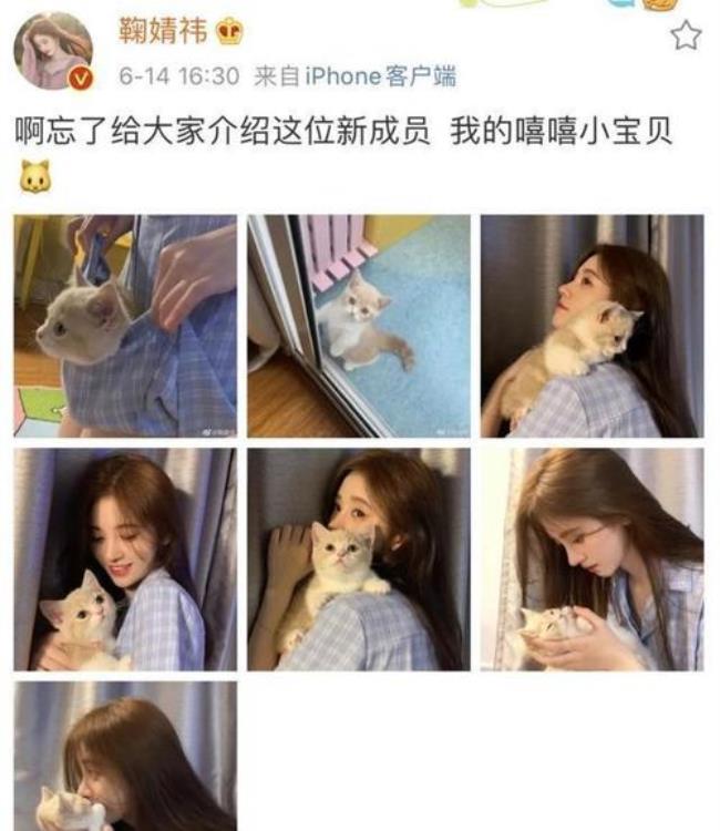 鞠婧祎的宠物叫什么