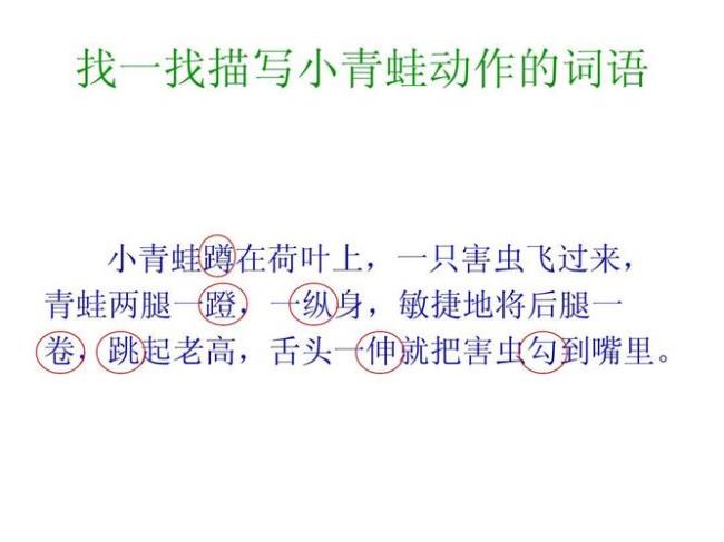 小学课文小青蛙读后感