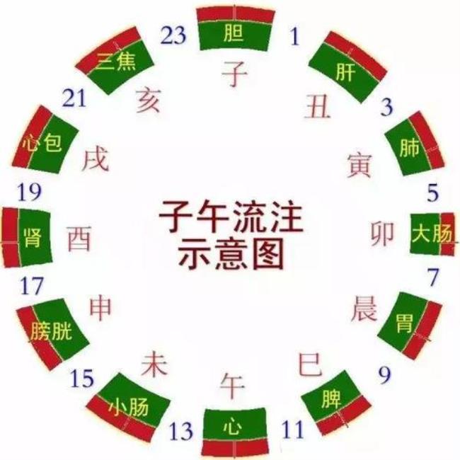 一天十二个时辰怎样八分