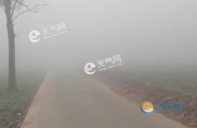 为什么每天早上起来雾越来越大