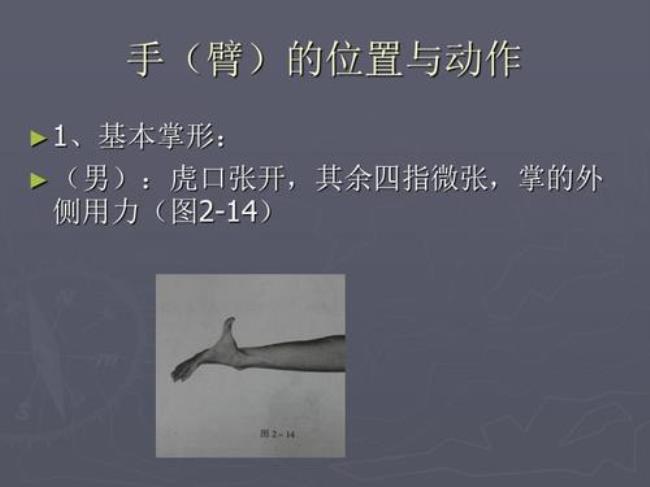 T舞蹈常见的基本舞步是