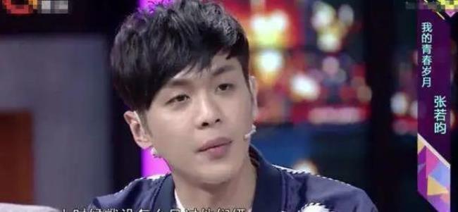 张若昀的爸爸是做什么的
