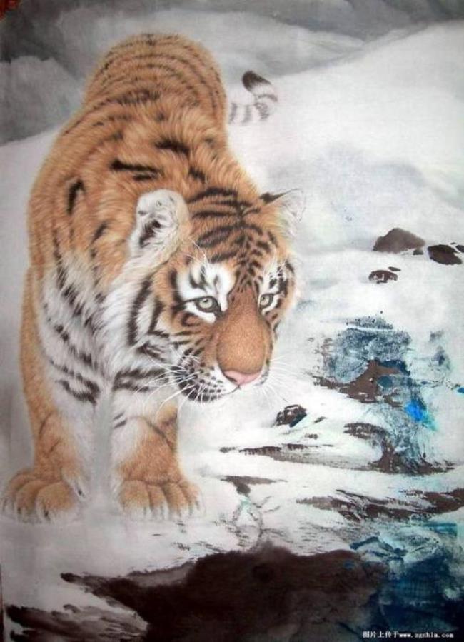 什么什么猛虎