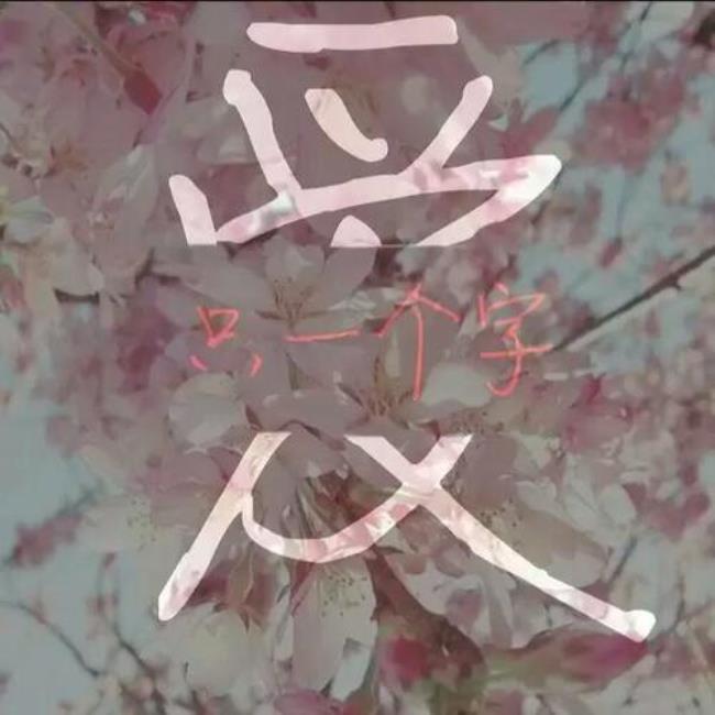 小字后面带什么好听